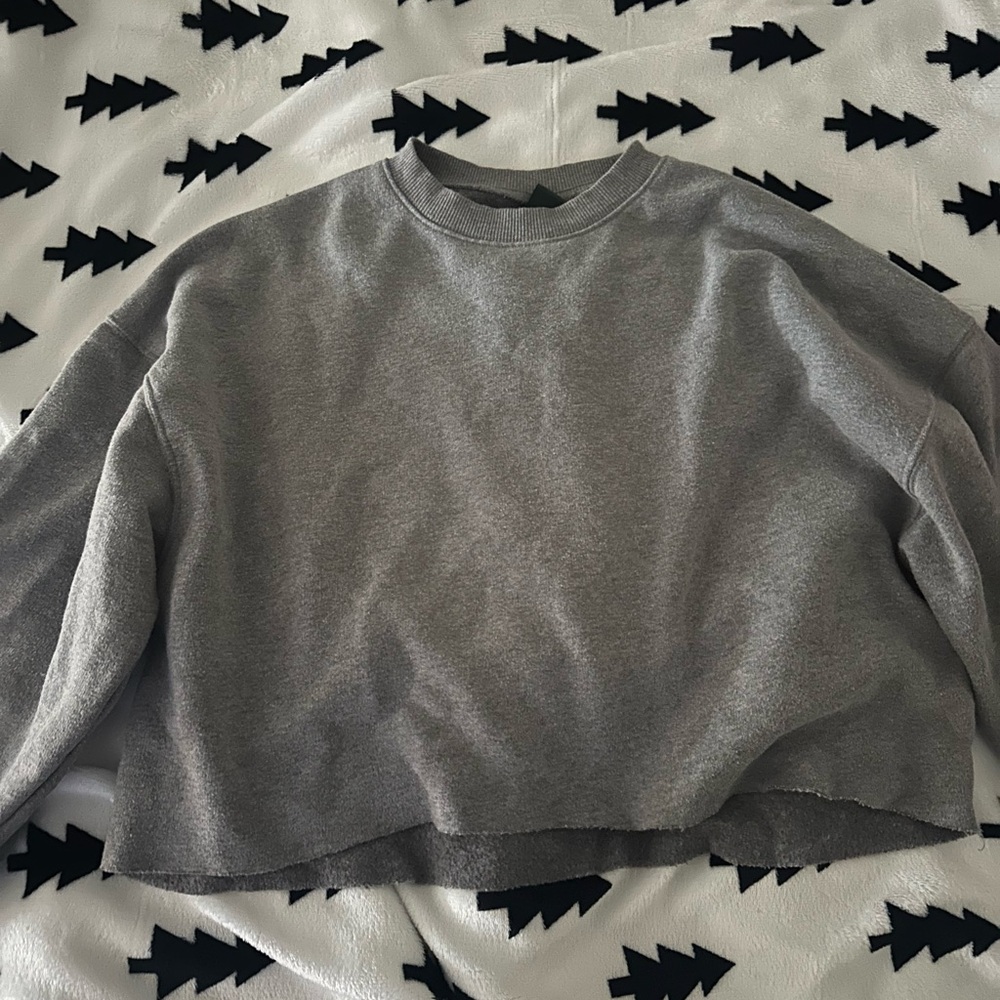 Wild fable cropped crewneck gray small